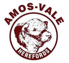 Amos Vale Herefords Logo